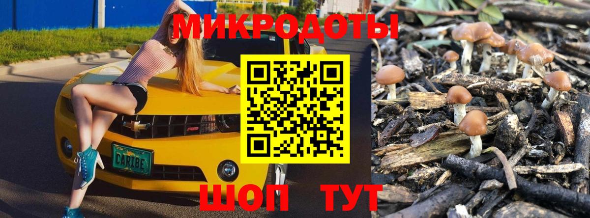 Галлюциногенные грибы MAGIC MUSHROOMS Гусиноозёрск