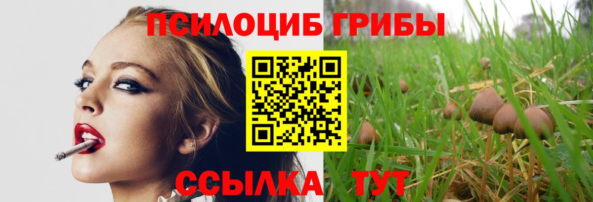 Галлюциногенные грибы MAGIC MUSHROOMS  Галлюциногенные грибы мицелий  Гусиноозёрск  Вход с VPN 